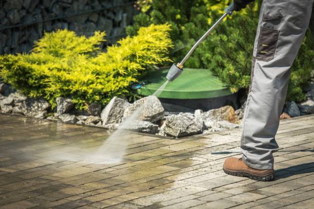 Best Driveway Pressure Washing  in Hallstead, PA